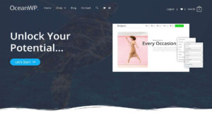 Read more about the article How to add custom font in OceanWP theme
